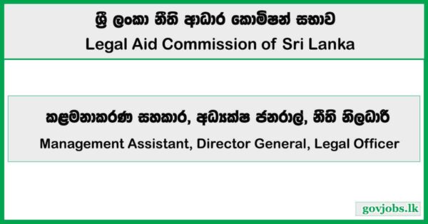 Management Assistant, Director General, Legal Officer – Legal Aid Commission Job Vacancies 2025