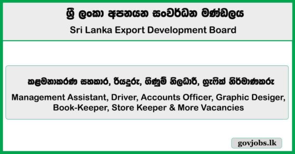 Management Assistant, Driver, Accounts Officer, Graphic Designer & More Vacancies – Sri Lanka Export Development Job Vacancies 2025
