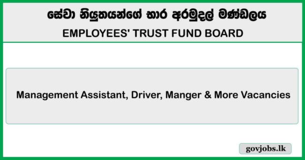 Management Assistant, Driver, Manger & More Vacancies - ETF Board Job Vacancies 2025