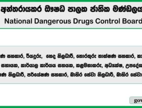 Management Assistant, Driver, Nurse, IT Assistant & More Vacancies 2025 – National Dangerous Drugs Control Board
