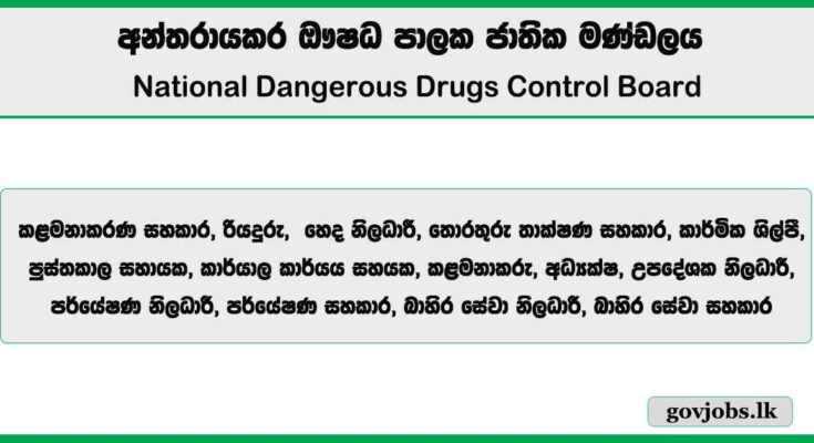 Management Assistant, Driver, Nurse, IT Assistant & More Vacancies 2025 – National Dangerous Drugs Control Board