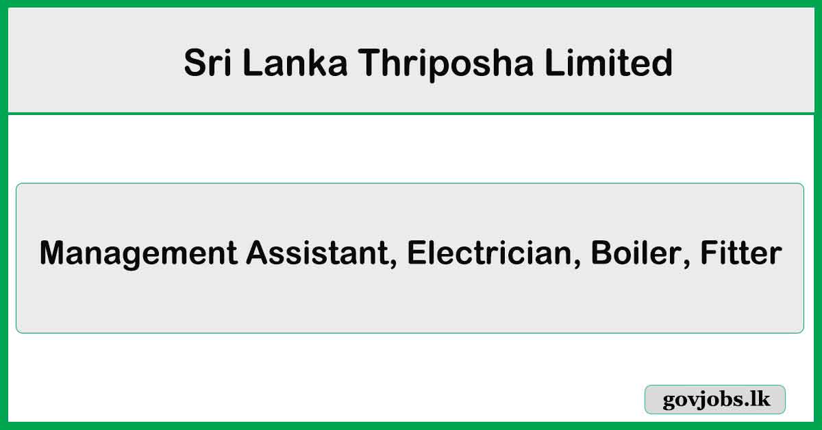 Management Assistant, Electrician, Boiler, Fitter - Sri Lanka Thriposha Limited Job Vacancies 2024