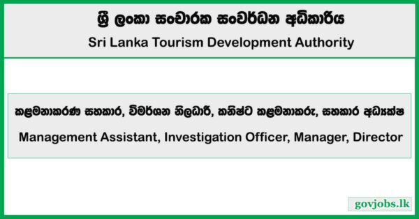 Management Assistant, Investigation Officer, Manager, Director – Sri Lanka Tourism Development Authority Job Vacancies 2026