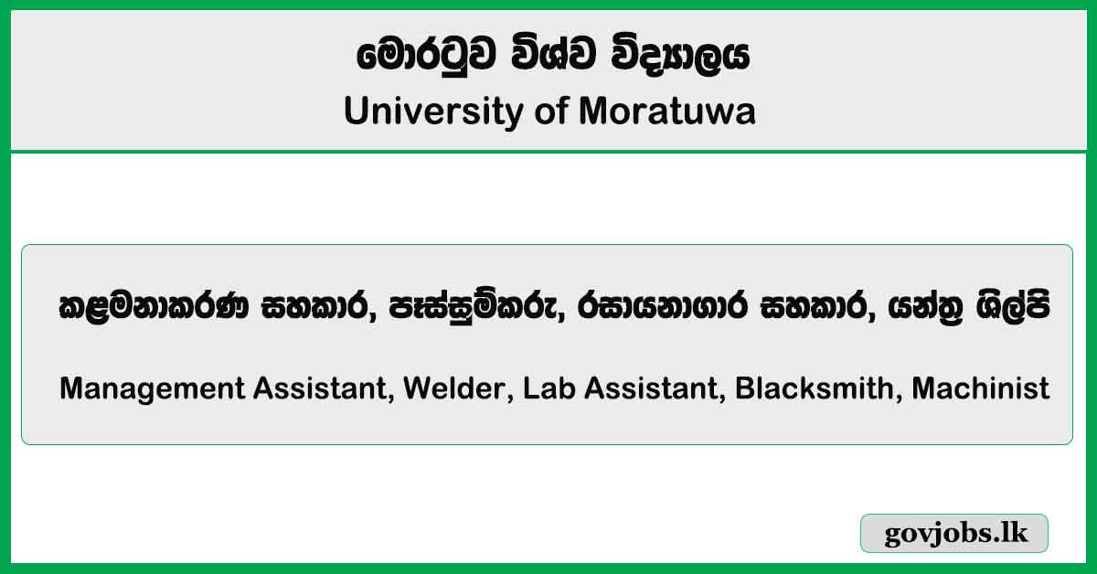 Management Assistant, Lab Assistant, Machinist - University of Moratuwa Job Vacancies 2025