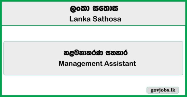 Management Assistant - Lanka Sathosa Limited Job Vacancies 2025
