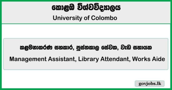 Management Assistant, Library Attendant, Works Aide - University of Colombo Job Vacancies 2025
