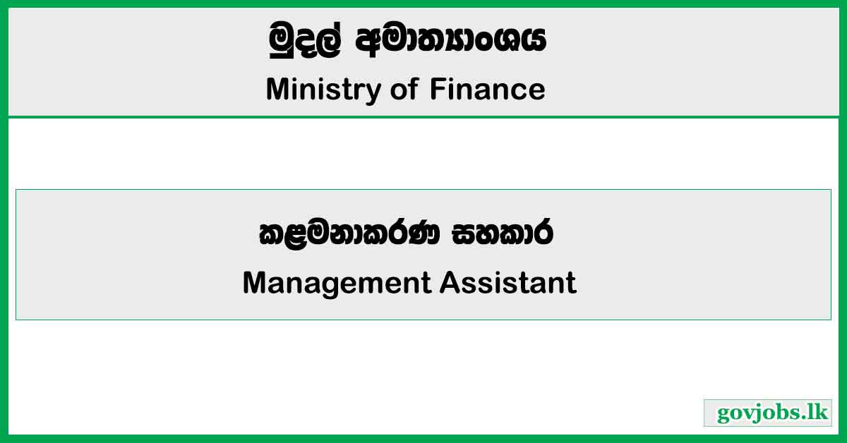 Management Assistant - Ministry of Finance Job Vacancies 2024