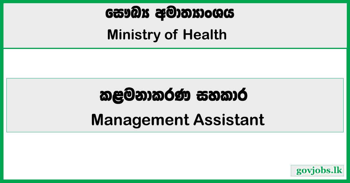 Management Assistant - Ministry of Health Job Vacancies 2026