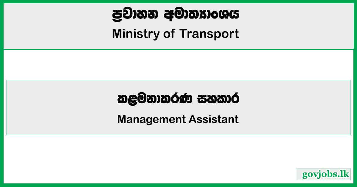 Management Assistant - Ministry of Transport Job Vacancies 2025