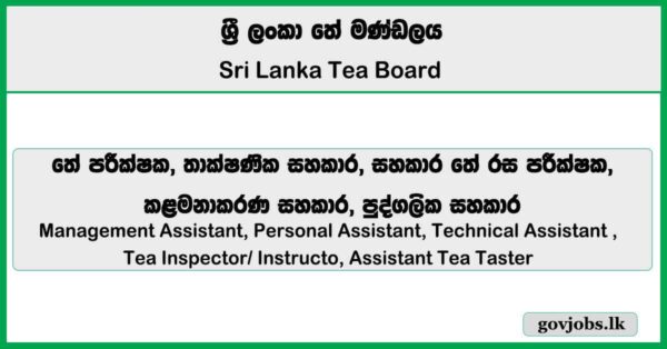 Management Assistant, Personal Assistant, Technical Assistant - Sri Lanka Tea Board Job Vacancies 2025