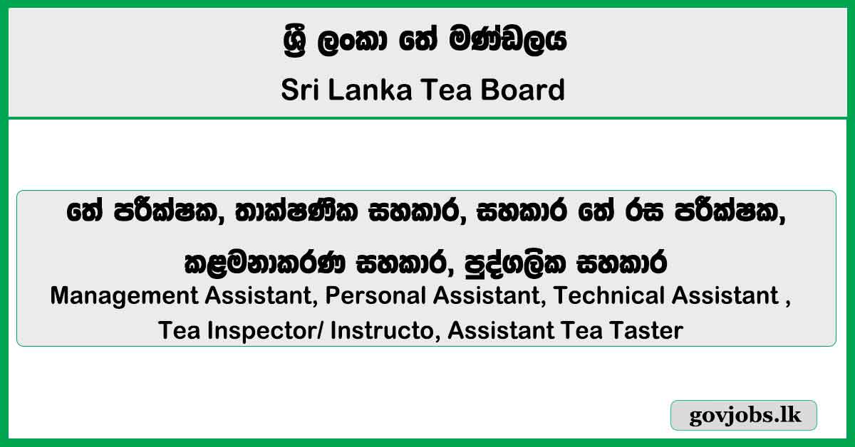 Management Assistant, Personal Assistant, Technical Assistant - Sri Lanka Tea Board Job Vacancies 2025