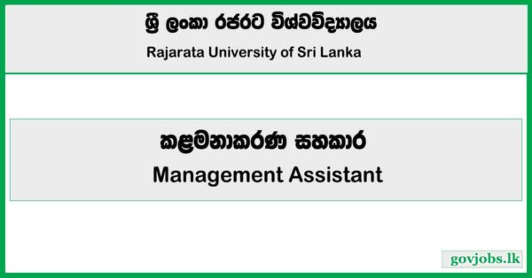 Management Assistant - Rajarata Universitya Job Vacancies 2025