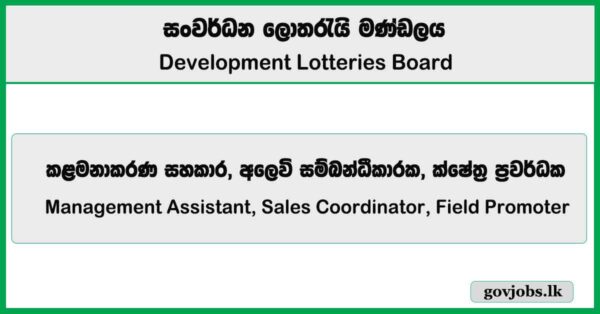 Management Assistant, Sales Coordinator, Field Promoter - Development Lotteries Board (DLB) Job Vacancies 2025