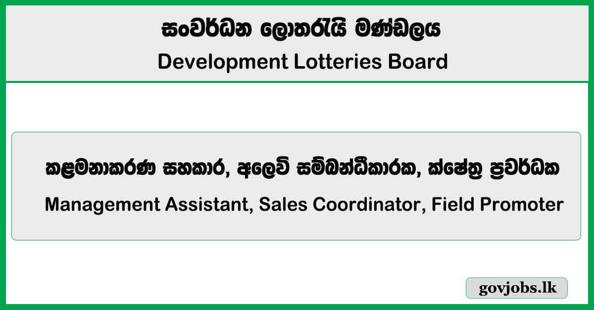 Management Assistant, Sales Coordinator, Field Promoter - Development Lotteries Board (DLB) Job Vacancies 2025