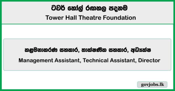 Management Assistant, Technical Assistant, Director – Tower Hall Theatre Foundation Job Vacancies 2025