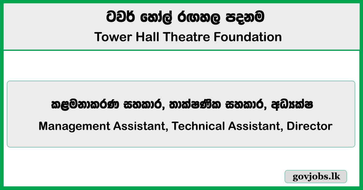 Management Assistant, Technical Assistant, Director – Tower Hall Theatre Foundation Job Vacancies 2025