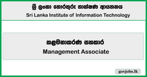 Management Associate (HR) – Sri Lanka Institute of Information Technology (SLIIT) Job Vacancies 2025