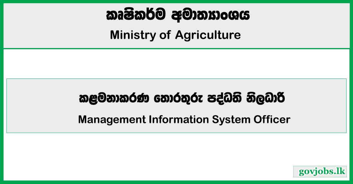 Management Information System Officer - Ministry of Agriculture Job Vacancies 2024