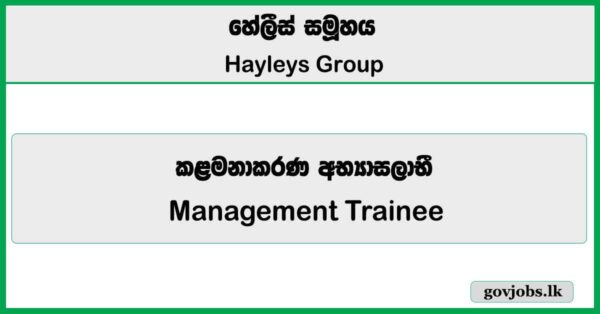 Management Trainee - Hayleys Group Vacancies 2026