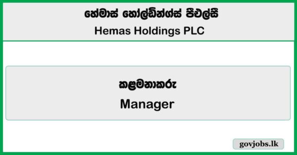 Manager - Surgical - Hemas Hospitals - Hemas Holdings PLC 2025 Vacancies