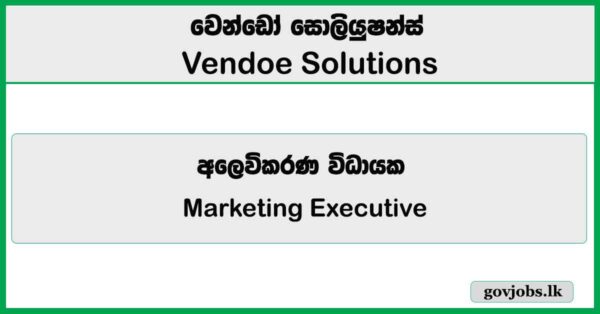 Marketing Executive - Vendoe Solutions Job Vacancies 2026
