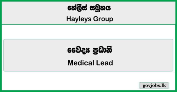Medical Lead - Hayleys Group Vacancies 2026