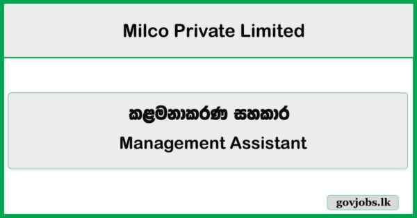 Management Assistant – Milco Private Limited Job Vacancies 2026