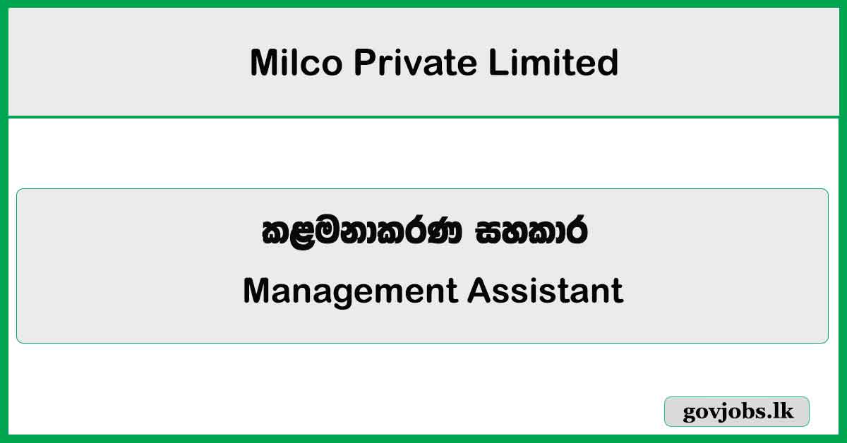 Management Assistant – Milco Private Limited Job Vacancies 2026
