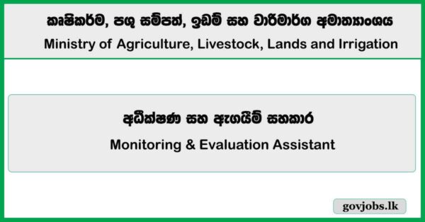 Monitoring & Evaluation Assistant - Ministry of Agriculture, Livestock, Lands and Irrigation Job Vacancies 2025