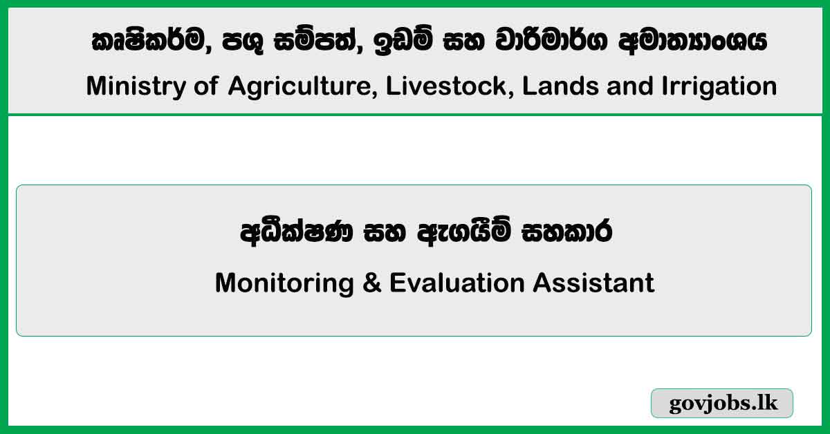 Monitoring & Evaluation Assistant - Ministry of Agriculture, Livestock, Lands and Irrigation Job Vacancies 2025