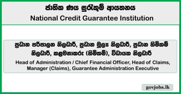 Head of Administration / Chief Financial Officer, Head of Claims, Manager (Claims), Guarantee Administration Executive – National Credit Guarantee Institution Limited 2026 Job Vacancies