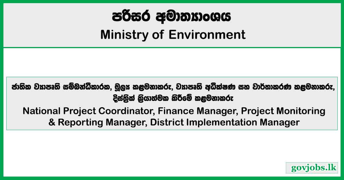 National Project Coordinator, Manager - Ministry of Environment Job Vacancies 2025