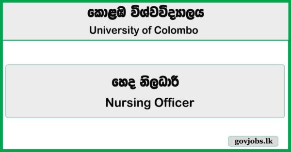 Nursing Officer - University of Colombo 2026 Job Vacancies
