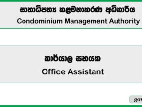 Office Assistant - Condominium Management Authority 2026 Job Vacancies