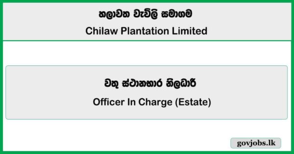 Officer In Charge (Estate) - Chilaw Plantations Limited Job Vacancies 2026