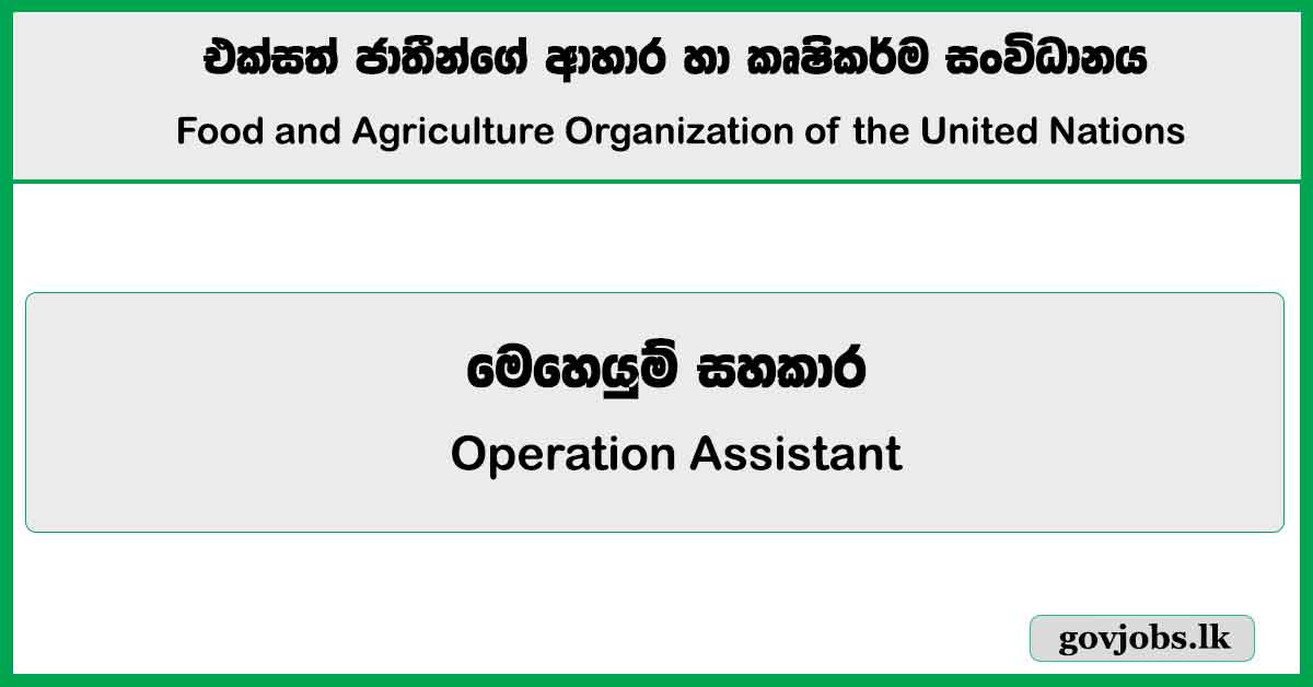 Operation Assistant - Food and Agriculture Organization of the United Nations Job Vacancies 2024