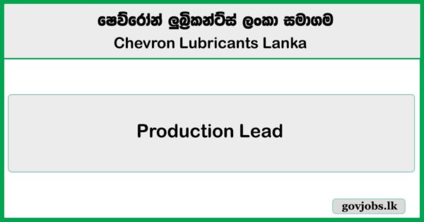 Production Lead – Chevron Lubricants Lanka Job Vacancies 2025