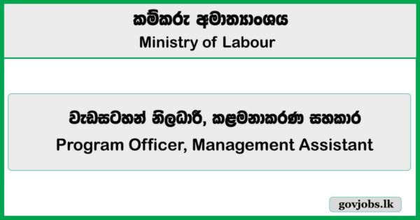 Program Officer, Management Assistant - Ministry of Labour Job Vacancies 2025
