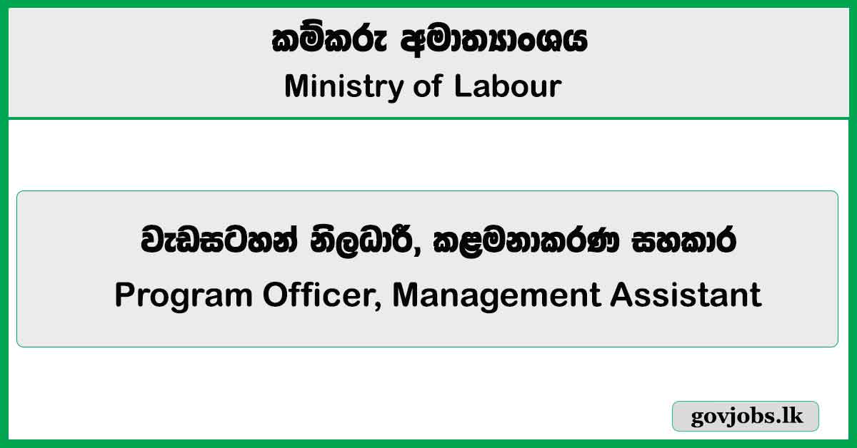 Program Officer, Management Assistant - Ministry of Labour Job Vacancies 2025