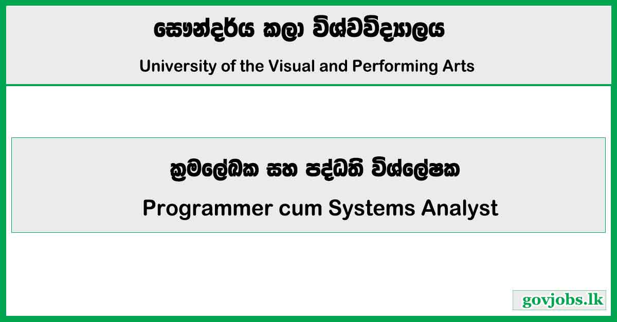 Programmer cum Systems Analyst - University of the Visual and Performing Arts Job Vacancies 2024