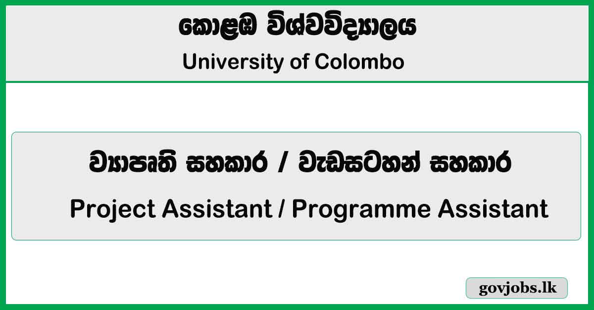 Project Assistant, Programme Assistant - University of Colombo 2026 Job Vacancies