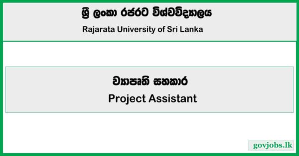 Project Assistant - Rajarata University Job Vacancies 2025