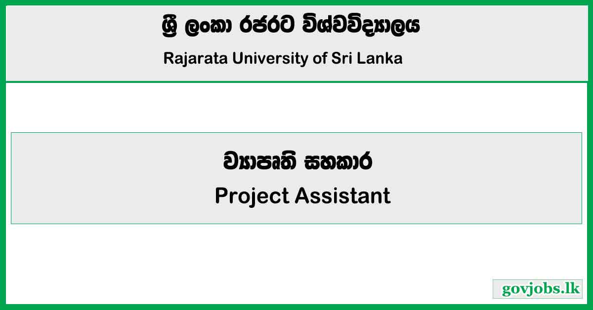 Project Assistant - Rajarata University Job Vacancies 2025