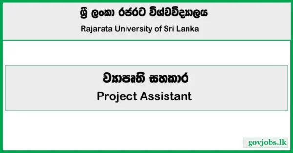 Project Assistant - Rajarata Universitya Job Vacancies 2025