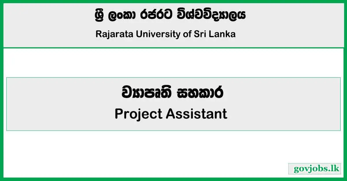 Project Assistant - Rajarata Universitya Job Vacancies 2025