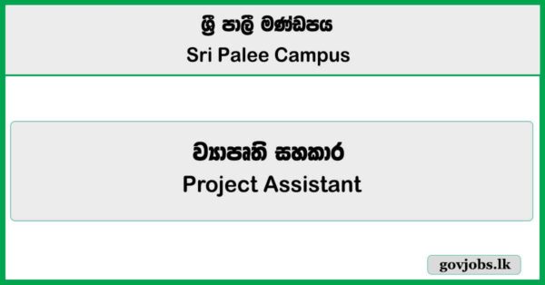 Project Assistant - Sri Palee Campus Job Vacancies 2025