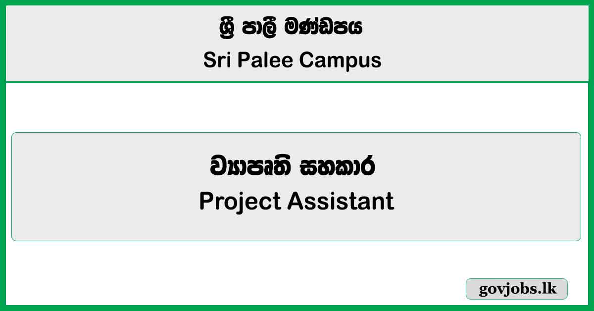 Project Assistant - Sri Palee Campus Job Vacancies 2025