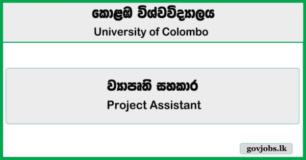 Project Assistant - University of Colombo Job Vacancies 2025