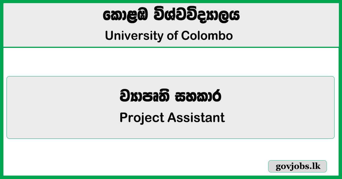 Project Assistant - University of Colombo Job Vacancies 2025