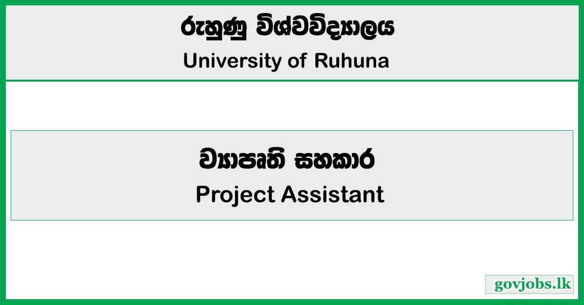 Project Assistant - University of Ruhuna Job Vacancies 2025